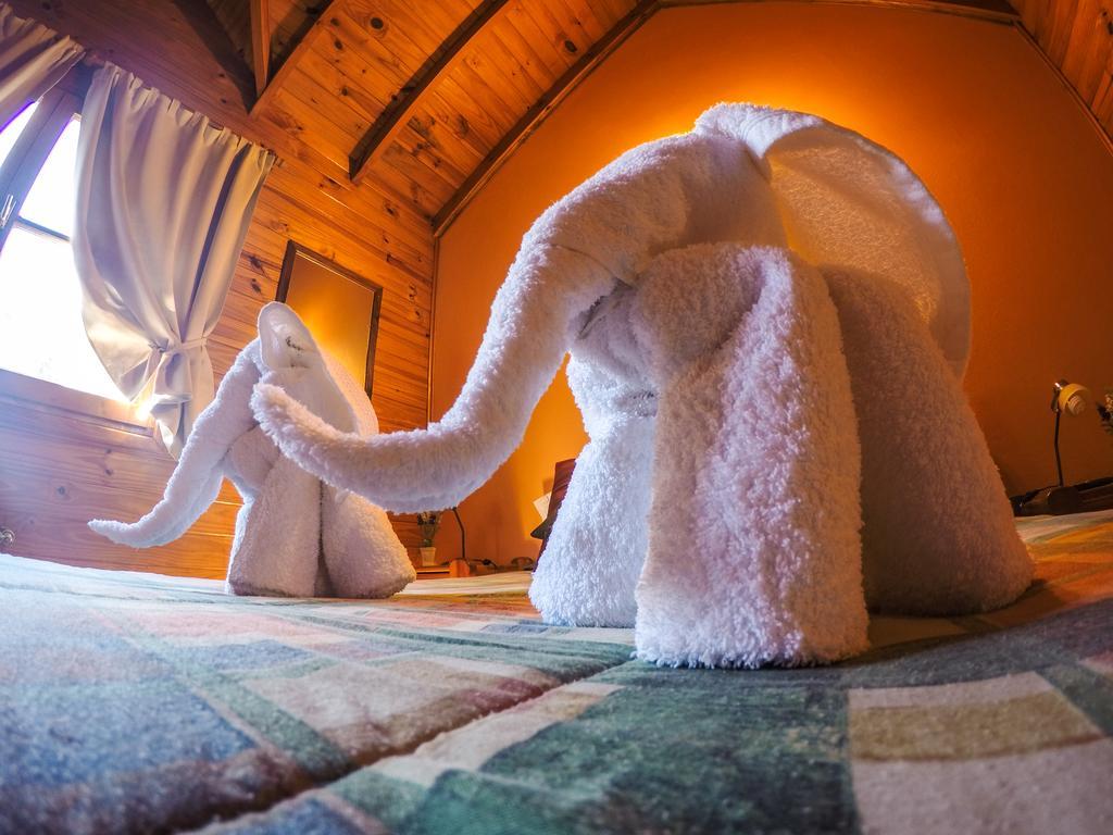 Cabanas De La Patagonia San Martín de los Andes 外观 照片